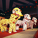 中国獅子踊